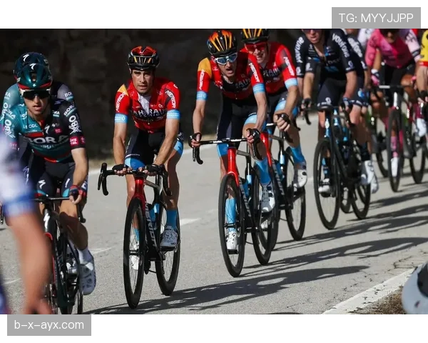 哥伦比亚队体能表现稳健，近期赛事跑动数据持续提升