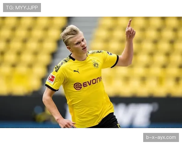 哈兰德与本泽马：终结效率及战术参与度对比分析