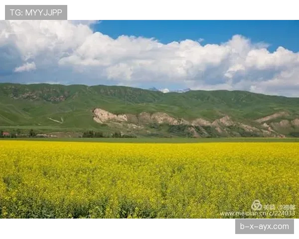 唐佳豪同一天：深夜五星餐厅账单，早晨巷口拎便当排队，笑到不行